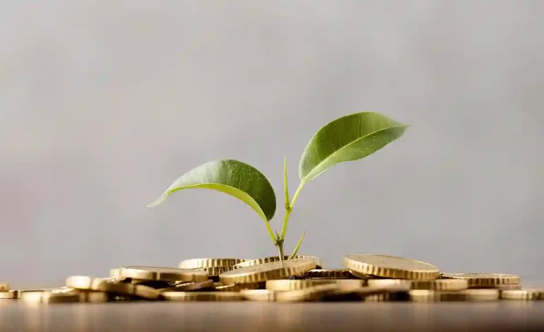 Microloan